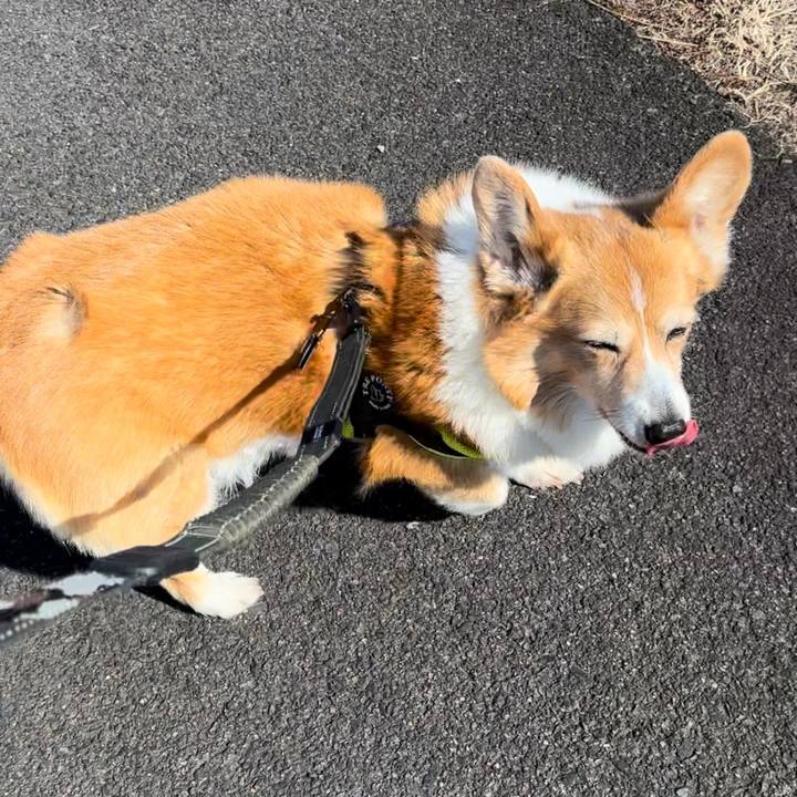 F5ea4883 7a9c 4ca5 bc78 176284716f9f 1770603168226