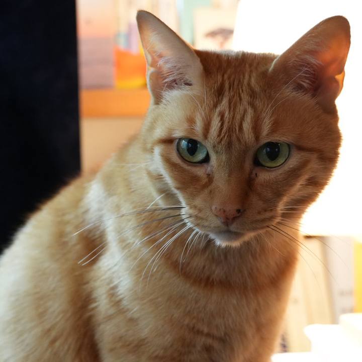 F5ea9ab2 d89c 4271 ab6e 2b919df8b50a 1730155881480