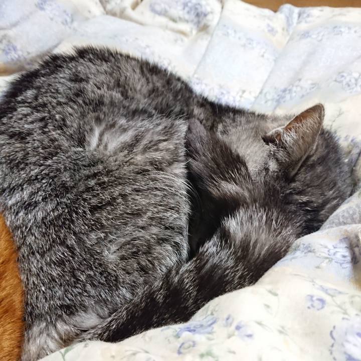 F5eaa644 bec5 4416 a264 9679806ea559 1578744858778