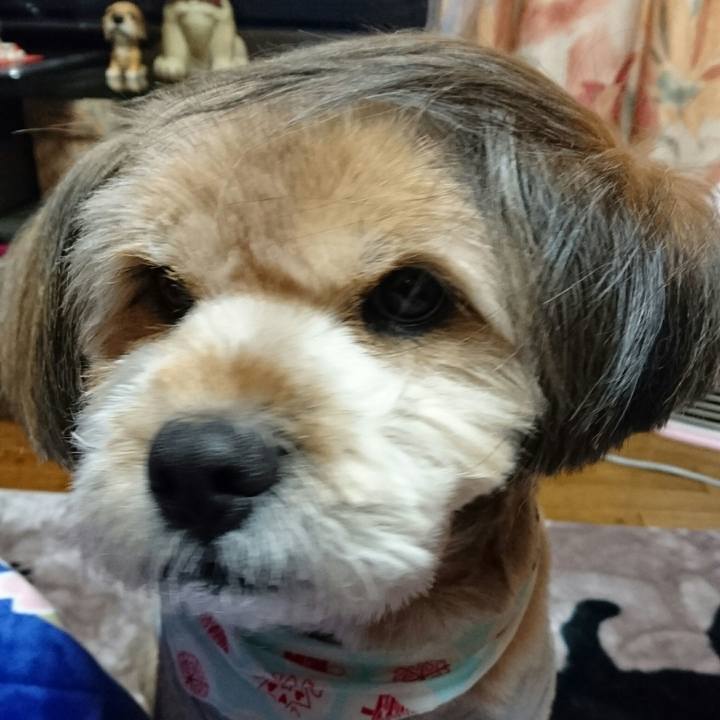 F5eaf822 0f41 487b 97d1 8e55fed3c577 1512820559376