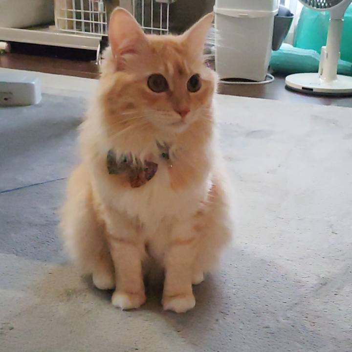 F5eaf8a2 42d0 4f32 81f2 91a68eff8d21 1661118781408