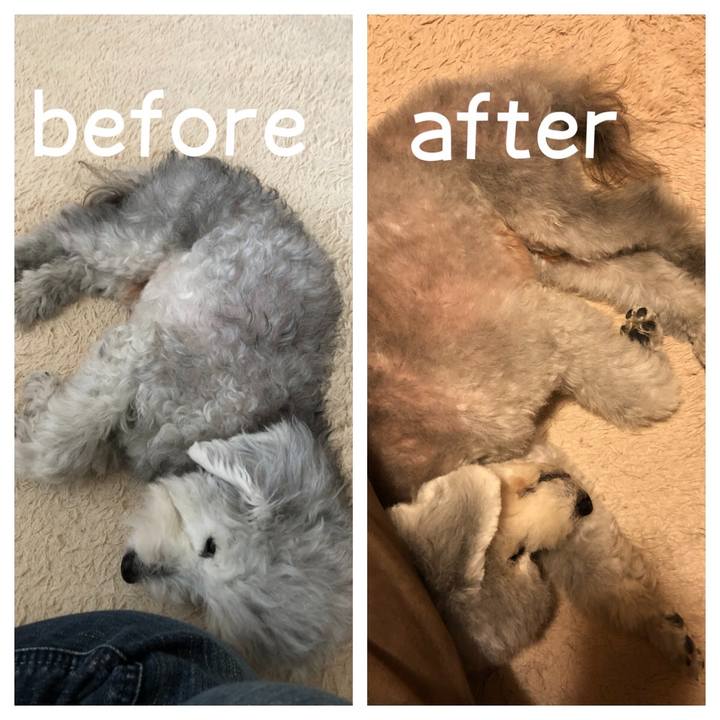 F5eb0c6d b151 480c a14a 528b7b3295a3 1609891738326