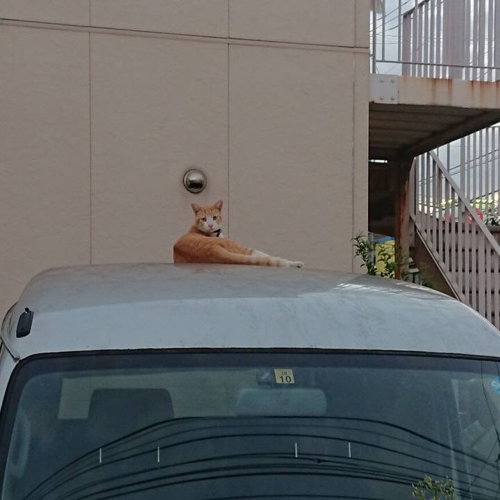 F5eb3ef5 e6bd 4b5f 9fa9 ccf78d6b3959 1535198465168