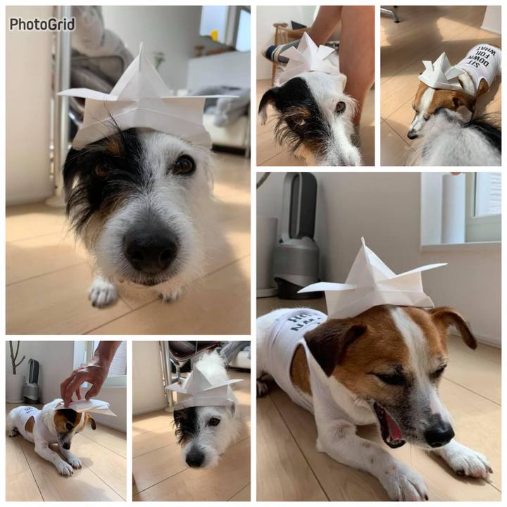 F5eb6368 3f16 4dc8 8a08 22992ad4d5b9 1714879553967