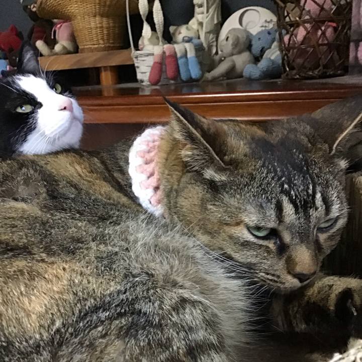 F5eb7fbf 98ed 4302 844e 84619e471bc0 1750505194122