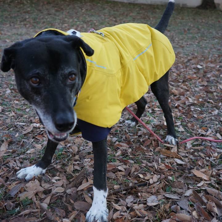 F5eb897a 4d7b 4b1f 8d3a 178590edfc3d 1765946393965