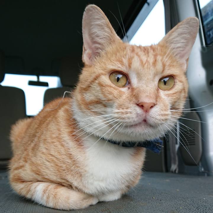 F5eb899e 36b6 4542 9d7b 1d3cfe004fe8 1563828356636