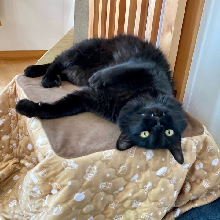 F5eb9c01 1cfd 4349 8203 7cc4b3167fd4 1766117658870