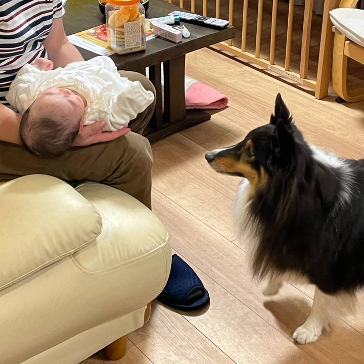 F5eb9ee5 9ccf 45a6 8ce0 9bdc04f0a3b5 1704030802579