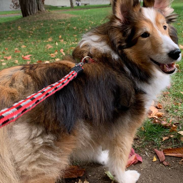 F5eb9fb5 d973 414a 877d 3fb8a5bd038b 1602924592443