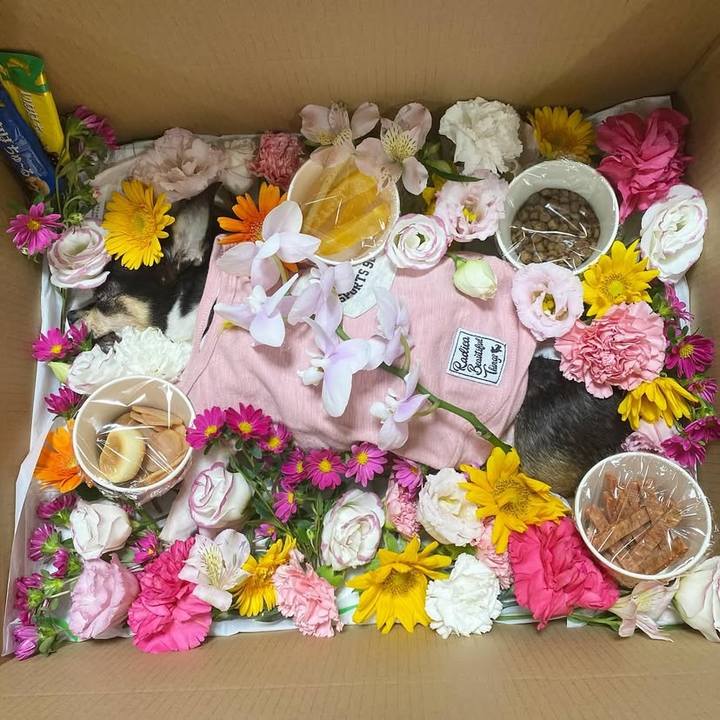 F5ebe0f5 ecd9 4eda b626 22e953c61869 1760620796525