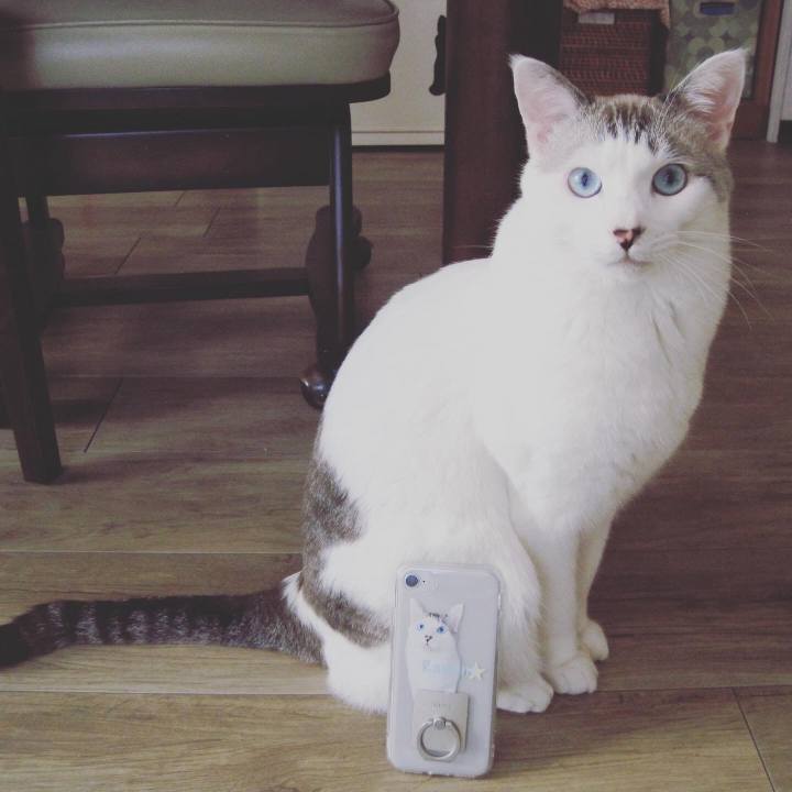 F5ebf747 9843 40bc 88eb 7b12e13e4c05 1573034584656