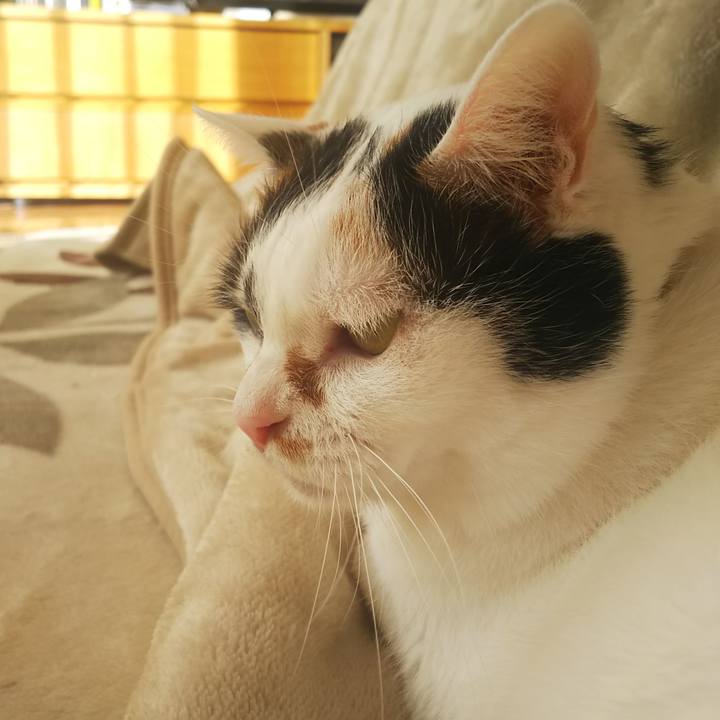 F5ec214b 14d2 44fd 812c 817eb8a84d58 1573950448043