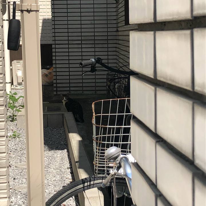 F5ec45ea a93b 414c ba28 1f83f8f9b097 1584631196879