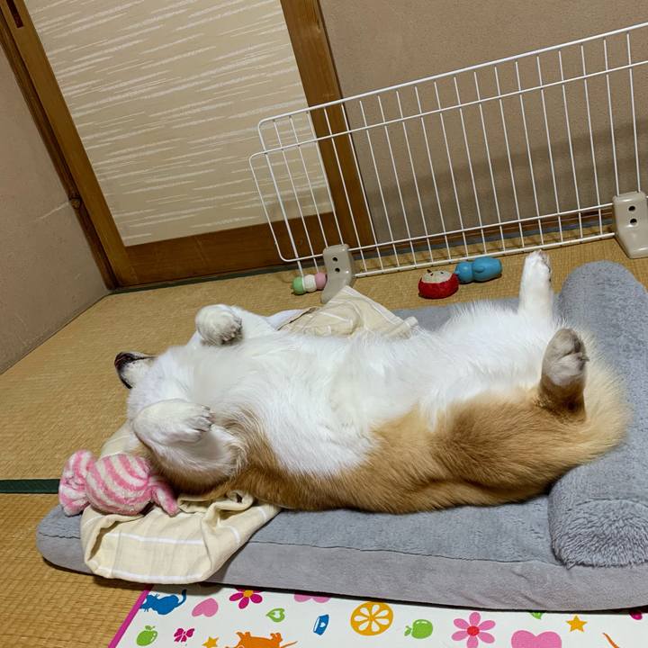 F5ec762c 6e48 46bc 88d6 894ba41041f0 1651406600679