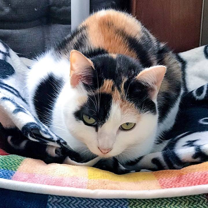 F5ec9f12 d0ea 4e78 a78c 695c0027fbab 1510149207169