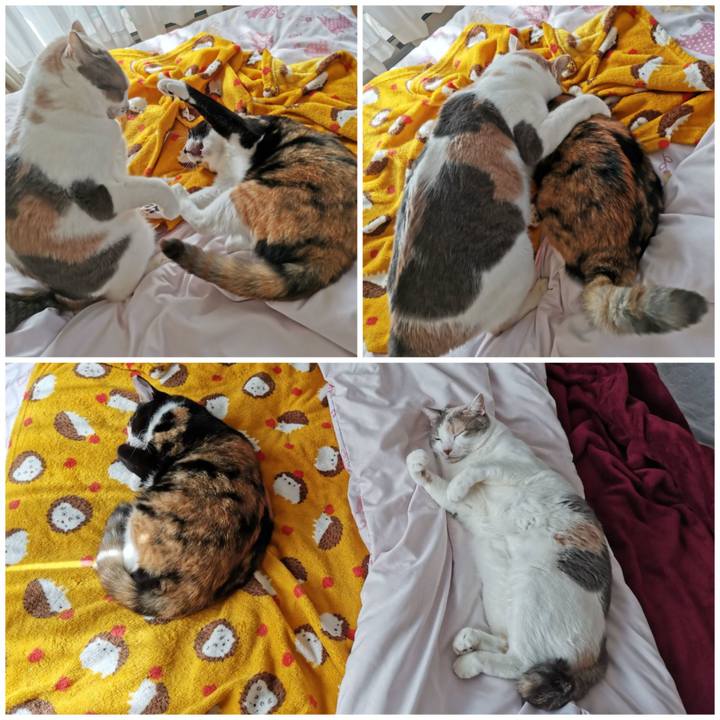 F5eca966 3fec 46cf 9985 43d17b5e4105 1667107959408