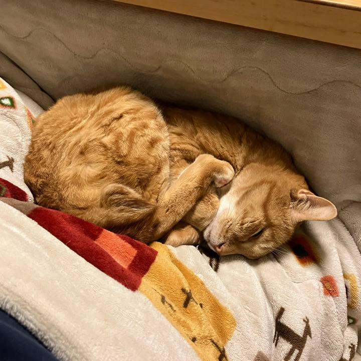 F5ecb580 b318 4c54 9ca3 c224b816e787 1762334243166