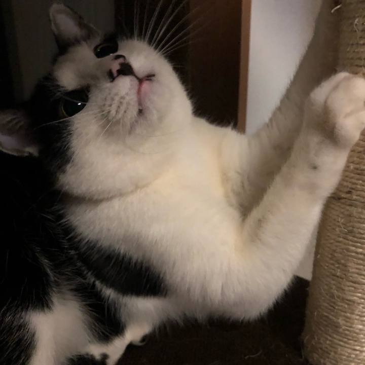 F5ecc4f7 7021 42ed 93e5 7c36d433b1d4 1549644075319