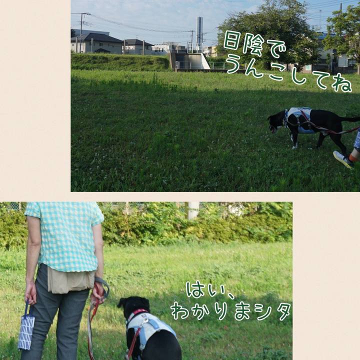 F5ecceea 0d24 4113 b63e fe8c06010450 1755733115773