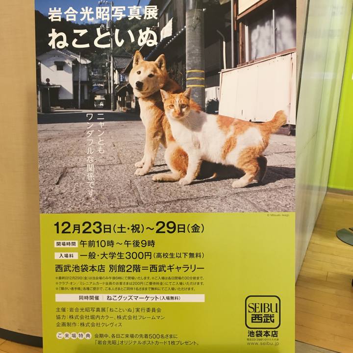 F5ed0560 04b9 4c38 9912 5a1b1d271fe3 1514251816256