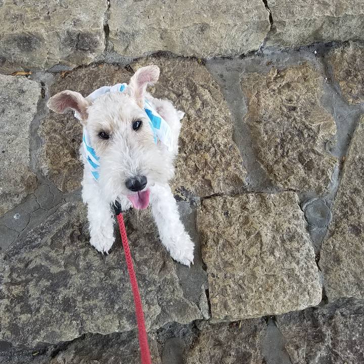 F5ed0f72 ab81 4e97 8a84 d2be87f903a9 1535889515060