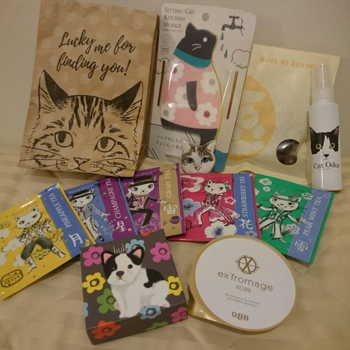 F5ed9495 a94f 4fd5 85e4 c58b9d7c142b 1550931548853