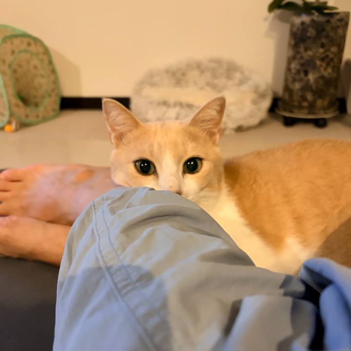 F5edaaf5 61dc 4e3a a6f8 4bf44d9f563e 1763982828134