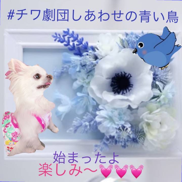 F5edde62 a2ba 4f9a 8330 70e600b017ad 1654296990206