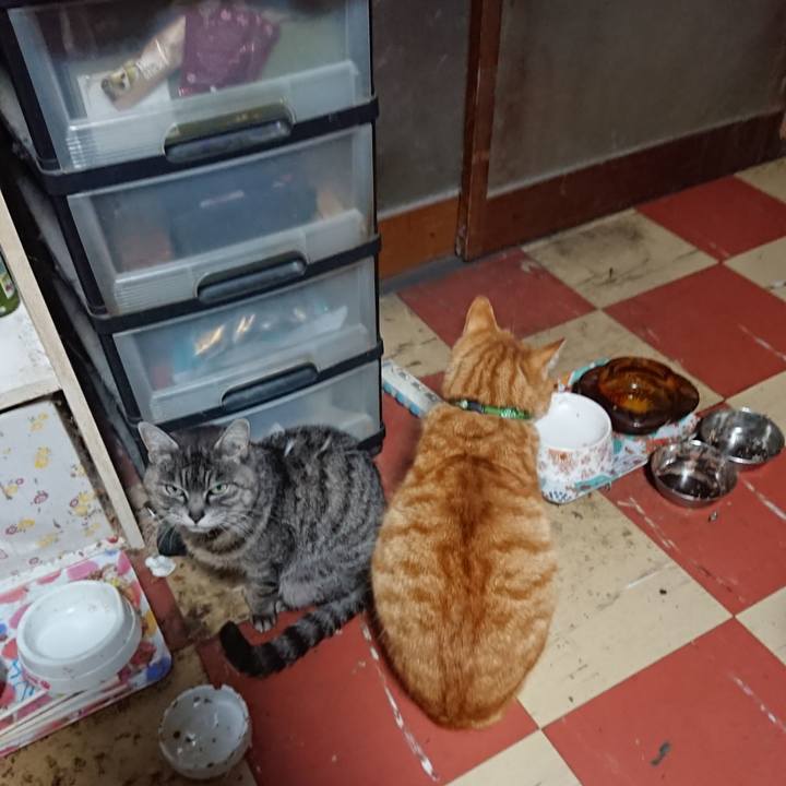 F5ee4978 62ac 465b ab80 39bd2057f4db 1584221095061