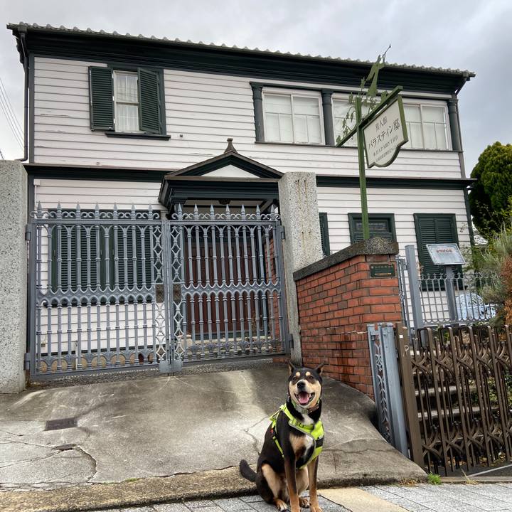 F5ee833d 8f82 4170 b028 56e0e6ce8995 1648338228372