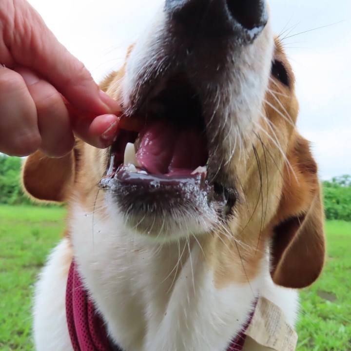 F5ee8793 c3c5 4f2d 9549 28ef2dba27ef 1626305966220