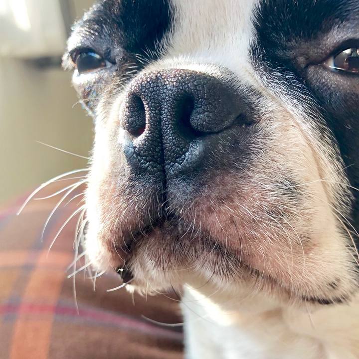 F5ee8a92 8051 4c31 937f f71437f20a6f 1548568069425