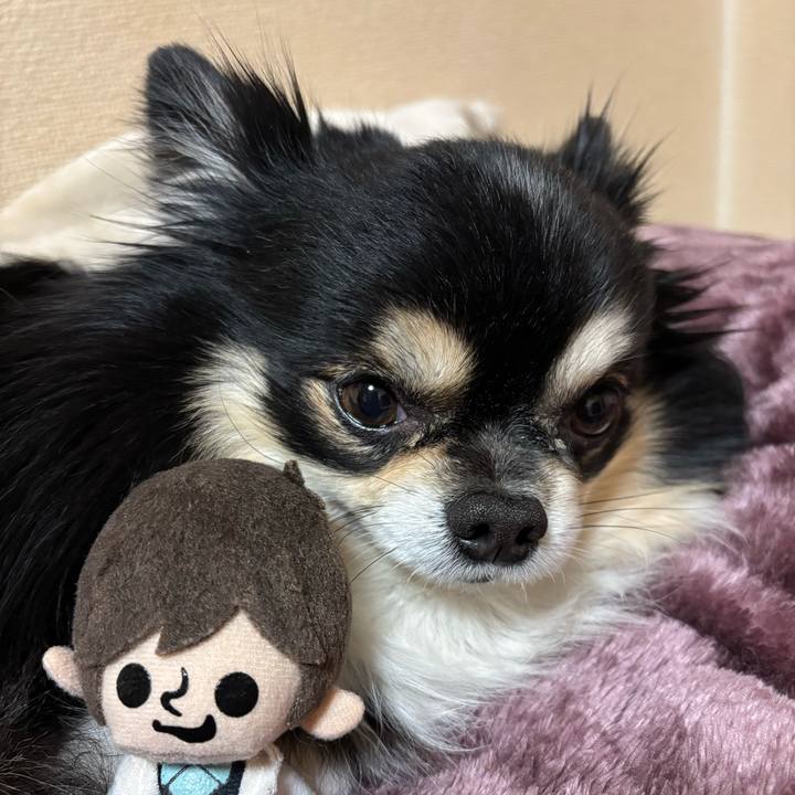 F5eed658 17b0 482b bcf6 bb7f7a6c9c4b 1758854792784