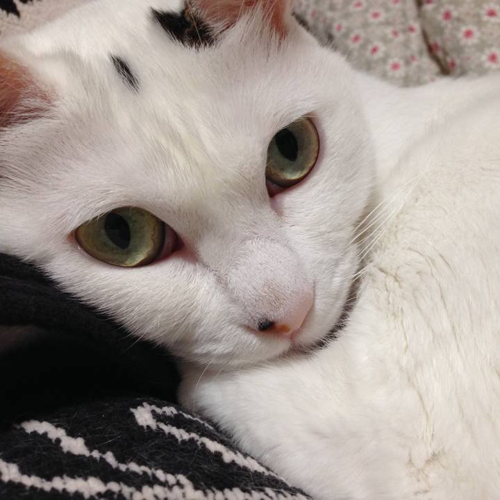 F5ef0a07 9609 4929 bab6 9284082d6b6e 1527948788931