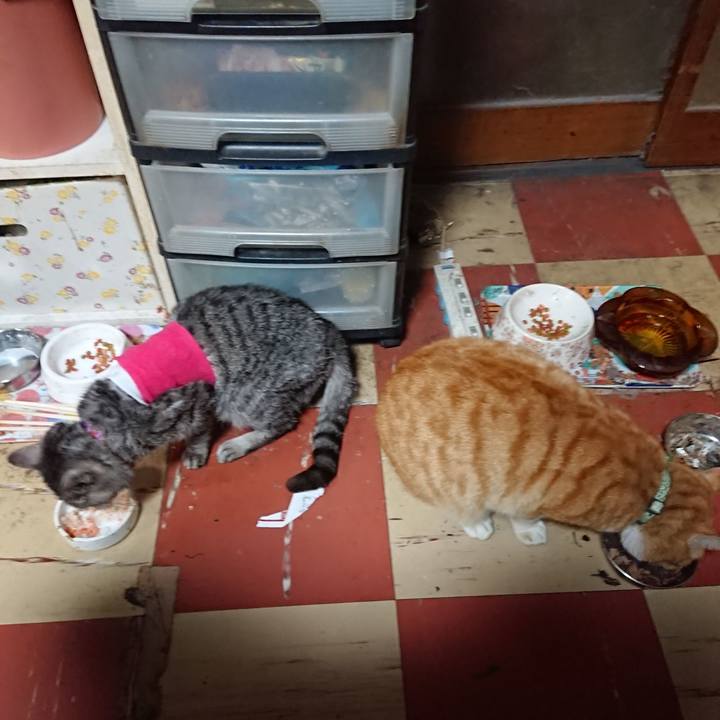 F5ef1ba0 f102 4fdd 999c e9cc65277926 1586602264641