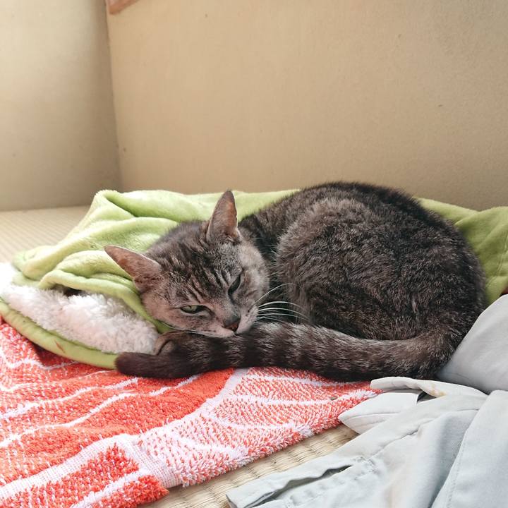 F5ef2853 6841 41ad 95ff 1bf1aa443698 1592949172450