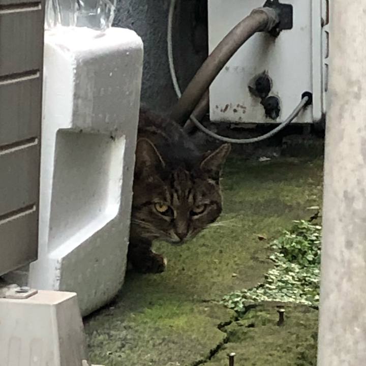 F5ef4a06 5d3d 4772 ab03 c2a2ac5002de 1542789413692