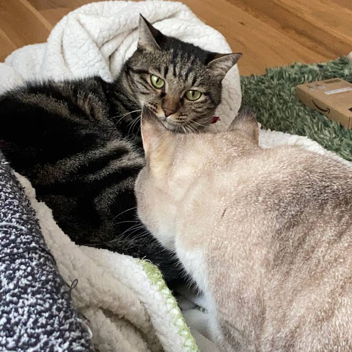 F5ef6dbf 797e 41ea ba09 f4751c0f8dff 1602387134177