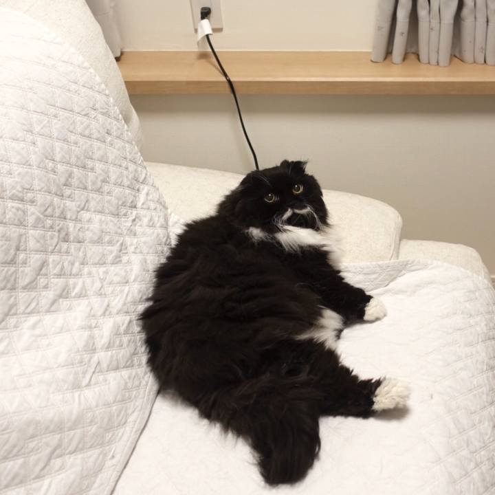 F5efda3e 7b63 4a0c b94a 6f4f5d300a85 1554220485812