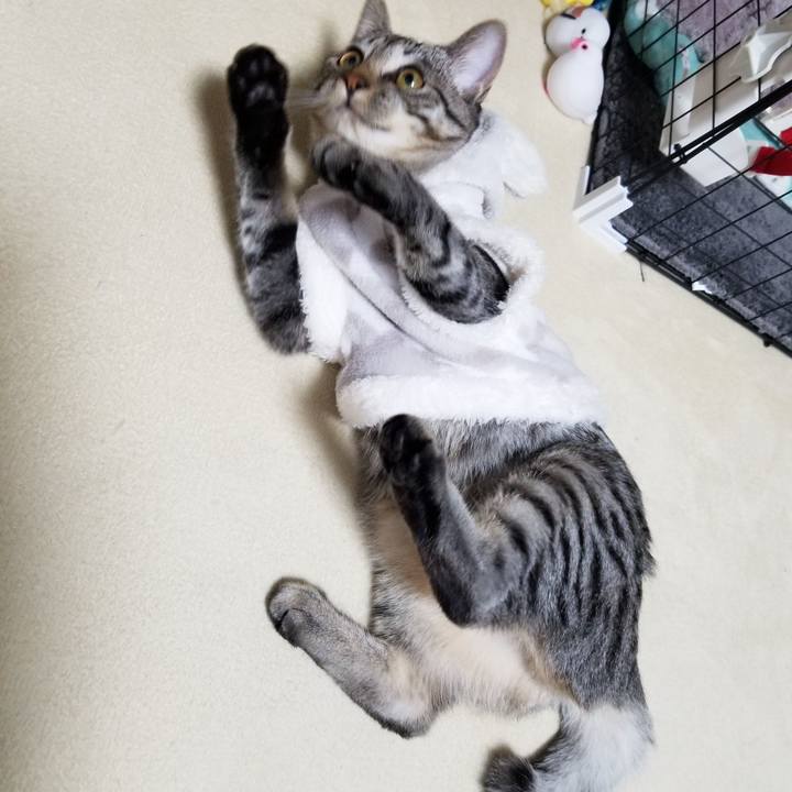 F5efda6e e9cb 4fe0 9f78 77a0c40ede26 1671919867839