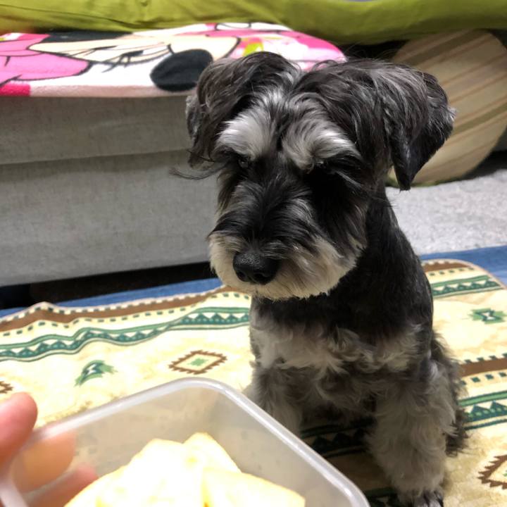 F5effcb4 984d 4821 bd5c adc170136a25 1669813563680