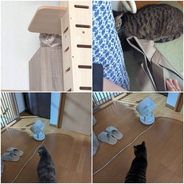 F5f06a87 c994 43f3 9dd5 a3c1bb11065c 1724751773052