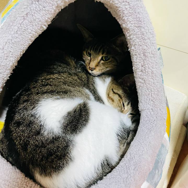 F5f06efc 1586 47b7 a77c 020a6c4fe6c1 1607218712952