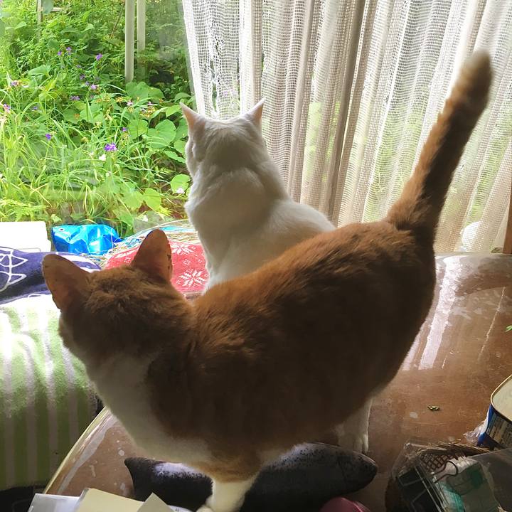 F5f0c12e 156c 4506 94ea 7538c321a9b5 1623458638304