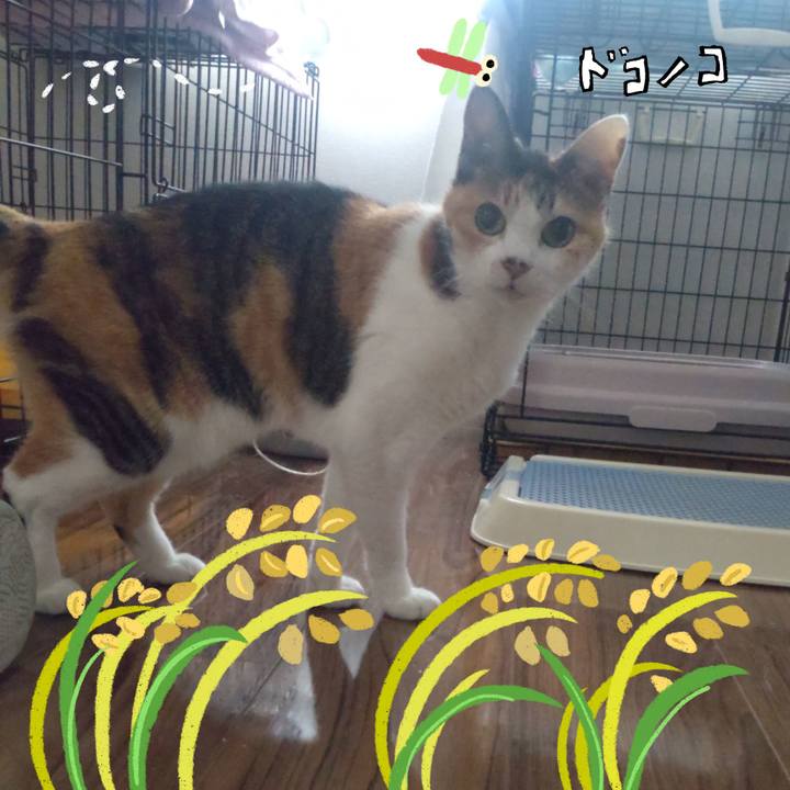 F5f0cc89 cfad 4268 97e5 ffbd1a764d58 1761434886652