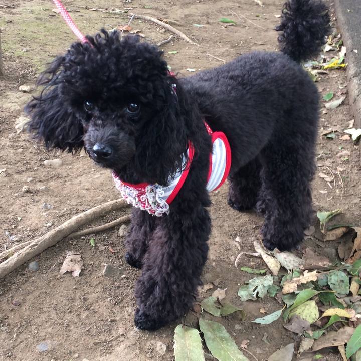 F5f10d66 024f 470b 847a 8d20ee0007ce 1535078740930