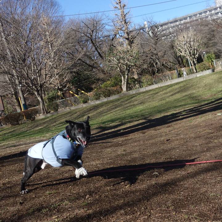 F5f1157f ba24 4da7 9e5c e9a61a68927b 1708997907590