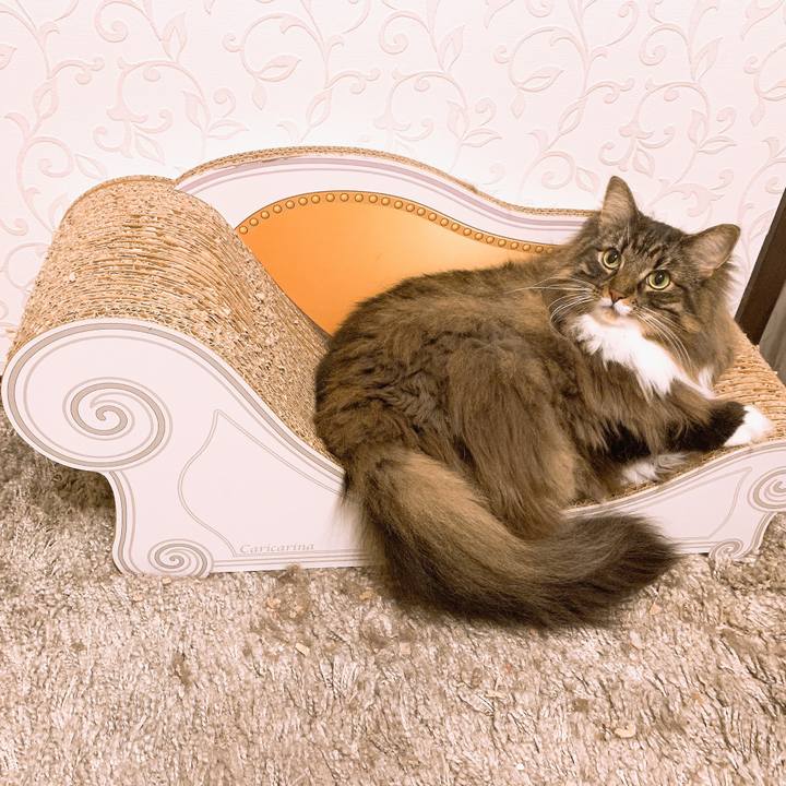 F5f15e81 8617 489f a4e6 14a7bfaa89be 1572773339525