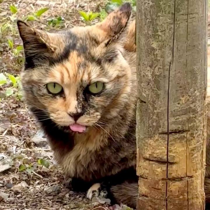 F5f17e4b e550 45fc 97ec 50dd16f723f8 1746255040842